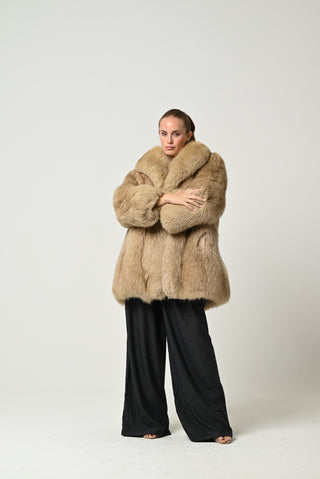 Volpe della Groenlandia 666