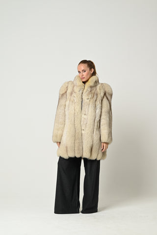 Volpe della Groenlandia 672