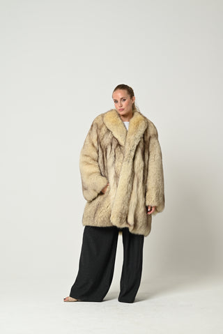 Volpe della Groenlandia 664