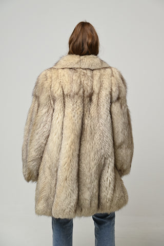 Volpe della Groenlandia 1722