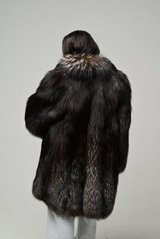 Volpe argentata 1593