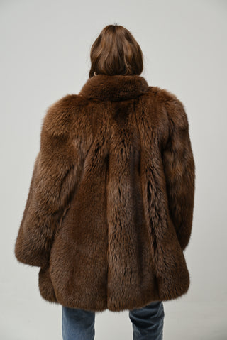 Volpe della Groenlandia 1723