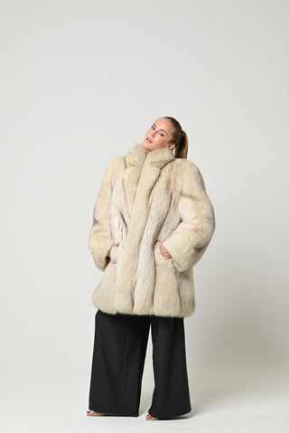 Volpe della Groenlandia 650