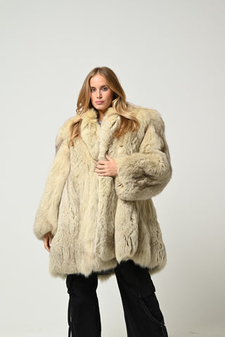 Volpe della Groenlandia 633