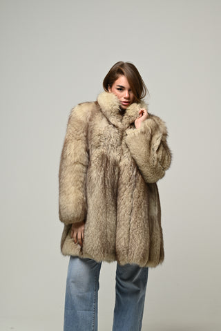 Volpe della groellandia 809