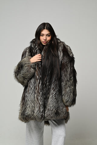 Volpe argentata 1586