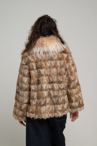 Ragondin et renard 241