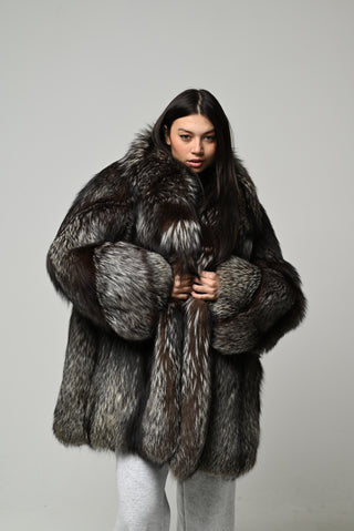 Volpe argentata 1588