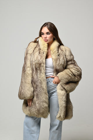 Volpe della Groenlandia 1480