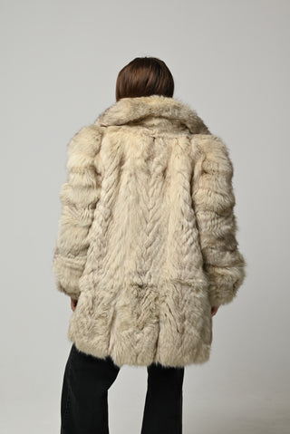 Volpe della Groenlandia 1614