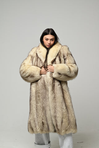 Volpe della Groenlandia 1592