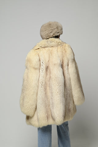 Volpe della Groenlandia 960