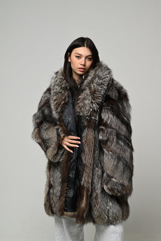 Volpe argentata 1598