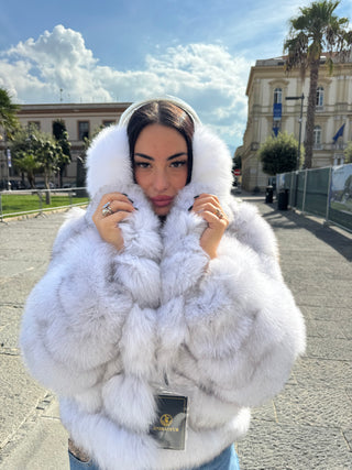 Paraorecchie in volpe