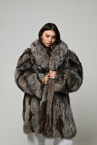 Volpe argentata 1598