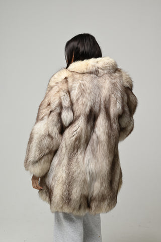 Volpe della Groenlandia 1596