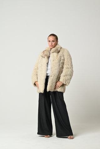 Volpe della Groenlandia 657