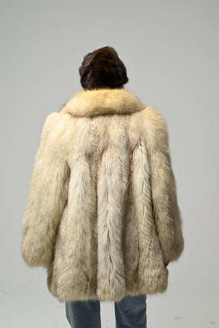 Volpe della Groenlandia 1002