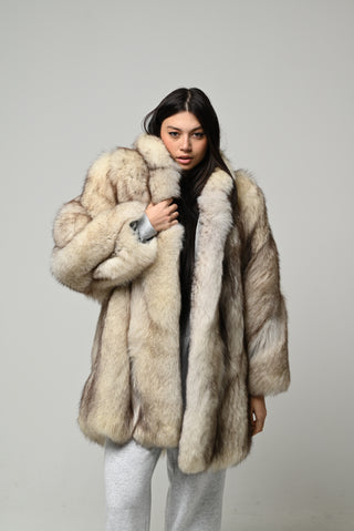 Volpe della Groenlandia 1596