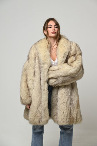 Volpe della Groenlandia 1722