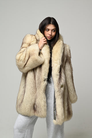 Volpe della Groenlandia 1585