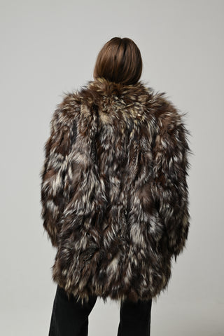 Volpe argentata 1609