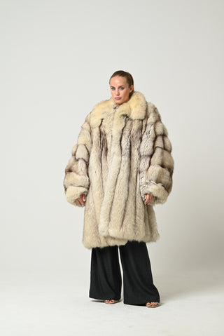 Volpe della Groenlandia 662