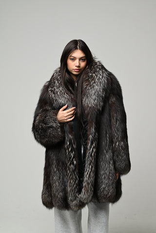 Volpe argentata 1593