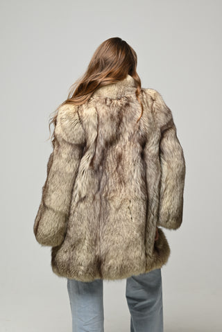 Volpe della Groenlandia 1480