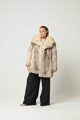 Volpe della Groenlandia 676