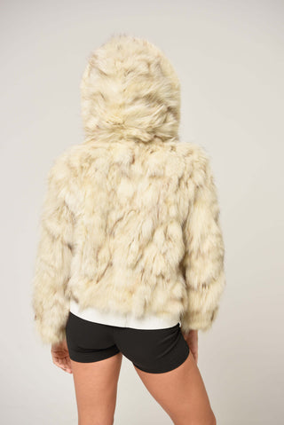 Blouson aviateur Fox 279