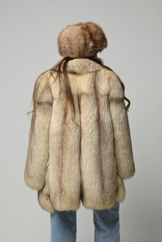 Volpe della Groenlandia 929