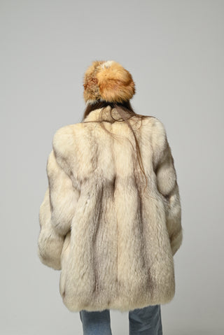 Volpe della Groenlandia 974