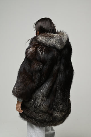 Volpe argentata 1584