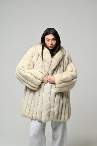 Volpe della Groenlandia 1542