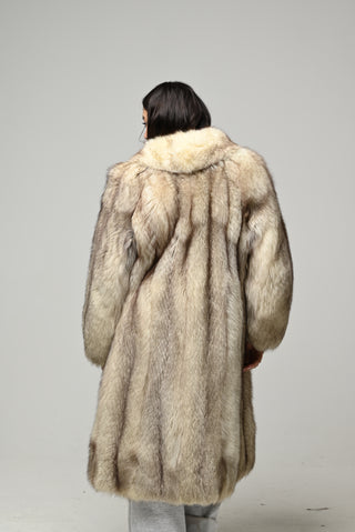 Volpe della Groenlandia 1592