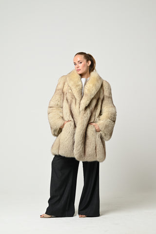 Volpe della Groenlandia 655