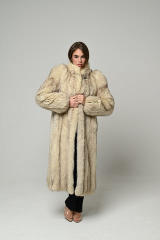 Volpe della Groenlandia 1676