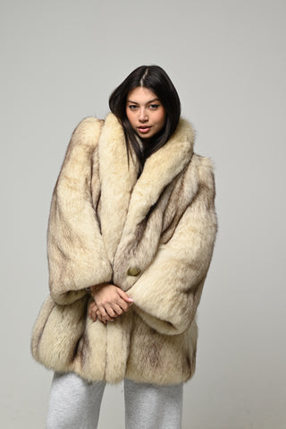 Volpe della Groenlandia 1585