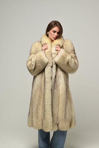 Volpe della Groenlandia 822