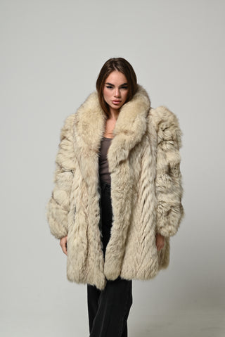 Volpe della Groenlandia 1614